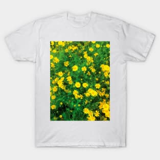 Blooming sulfur cosmos (yellow cosmos) flower bushes T-Shirt